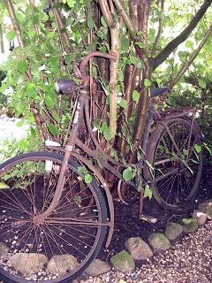 Garten Picker Borken