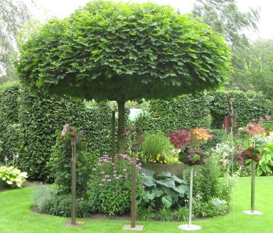 Garten Picker Borken