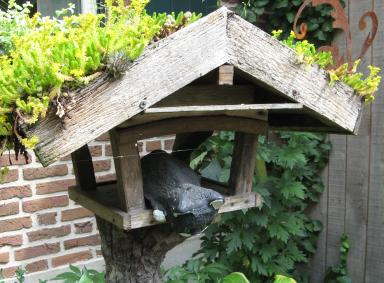 Garten Picker Borken