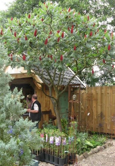 Garten Picker Borken