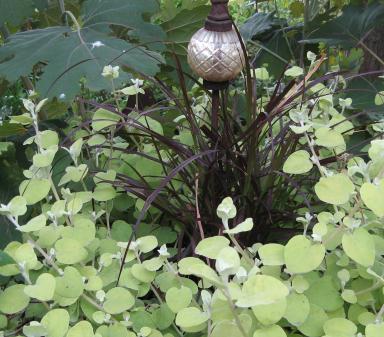 Garten Picker Borken