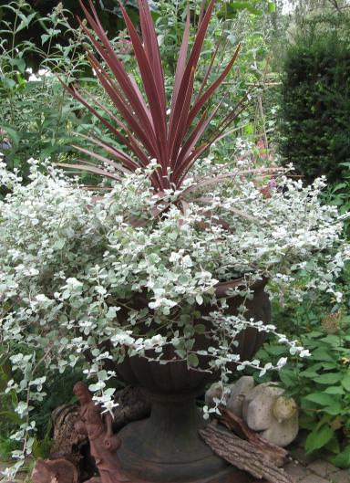 Garten Picker Borken