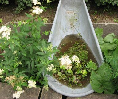 Garten Picker Borken