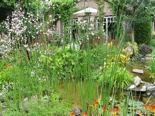 Garten Picker Borken