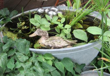 Garten Picker Borken
