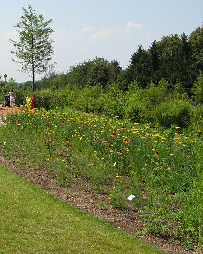 Landesgartenschau Hemer