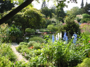 Foerster Garten mit Rittersporn