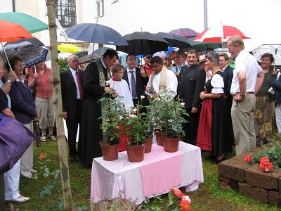 Rosenschau Unterliezheim