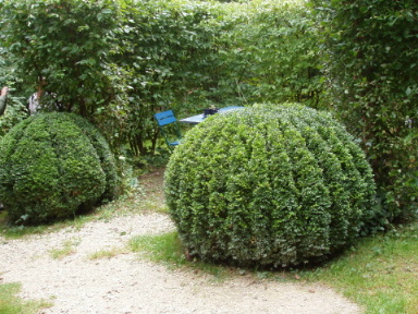 Foto Kirsch-Stracke