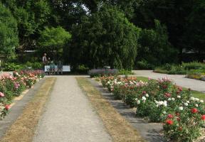 Rosenkongress Bad Wörishofen Gärten in und um Augsburg