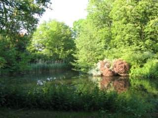 Gartenfestival Ippenburg