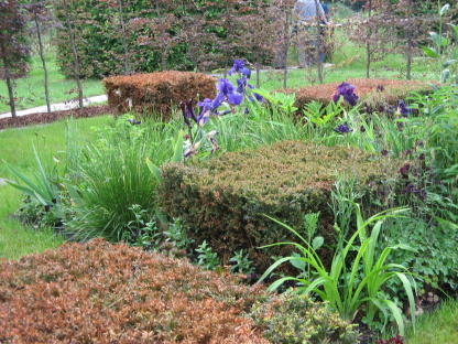 Gartenvestival Ippenburg