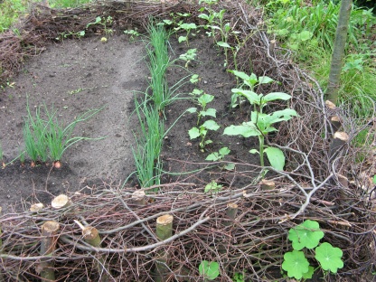 Gartenvestival Ippenburg