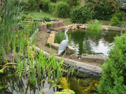 Pfarrgarten Saxdorf