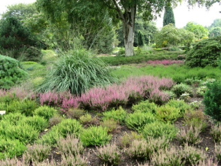 Ellerhoop Arboretum