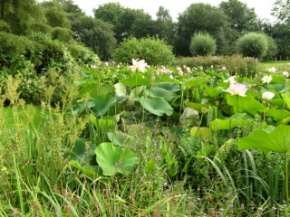 Ellerhoop Arboretum