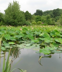 Ellerhoop Arboretum