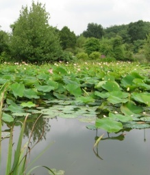 Ellerhoop Arboretum