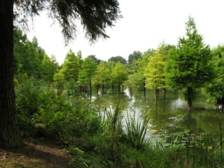 Ellerhoop Arboretum