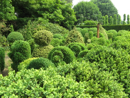 Gärtnerei und Privatgarten Schwieters