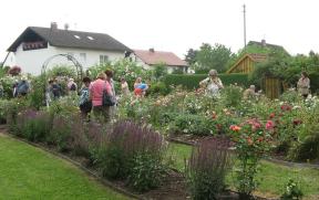 Gennacher Rosengarten