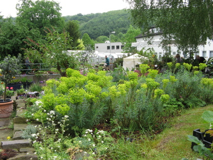 Gartenfestival Gehrden