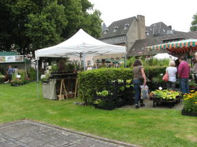 Pflanzenmarkt Knechtsteden