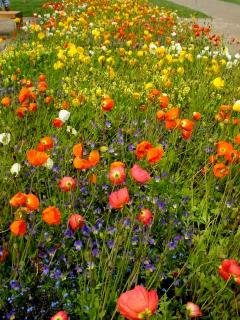 Landesgartenschau Burghausen 2004