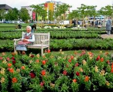 Landesgartenschau Burghausen 2004