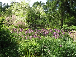 Staudengärtnerei Bornhöved