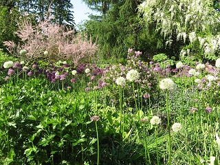 Staudengärtnerei Bornhöved