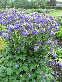 Garten der Horizonte