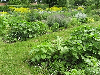 Gutsgärtnerei Sierhagen