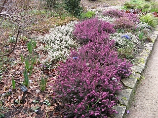 Foerstergarten Foto Brandt