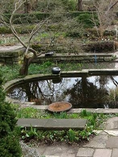 Foerstergarten Foto Brandt