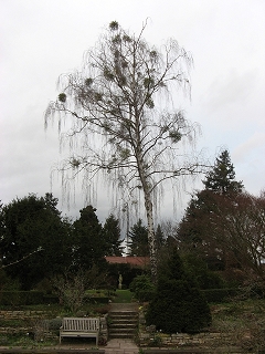 Foerstergarten Foto Brandt