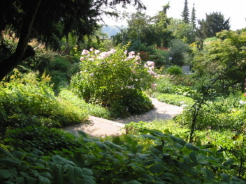 Foerster Garten