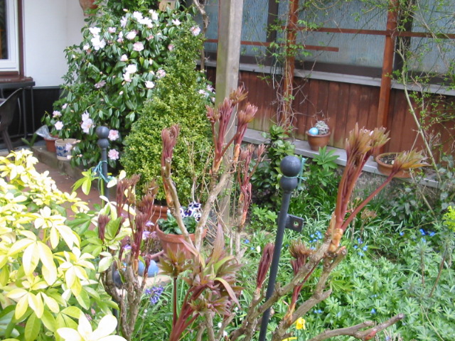 Privatgarten