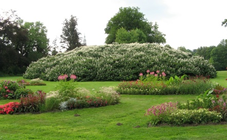 Fürst Pückler Parks