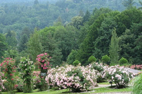 Gärten in Baden-Baden