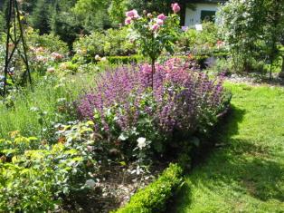 Schaugarten Rosenbogen Heidrich - Rosen mit Stauden