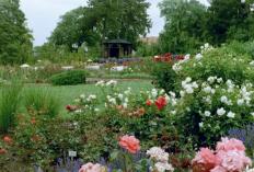 Sangerhausen Europa Rosarium