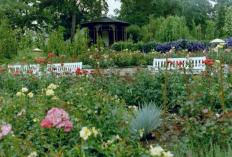 Sangerhausen Europa Rosarium