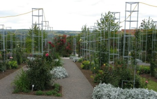 Rosarium Sangerhausen