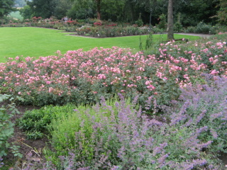 Rosengarten Seppenrade