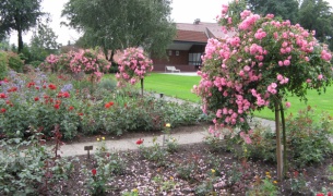 Rosengarten Seppenrade