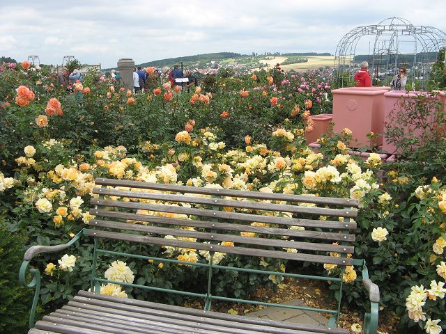 Gartenreise, GartenLiteratur und RosenBlog Rosenkongress 2018