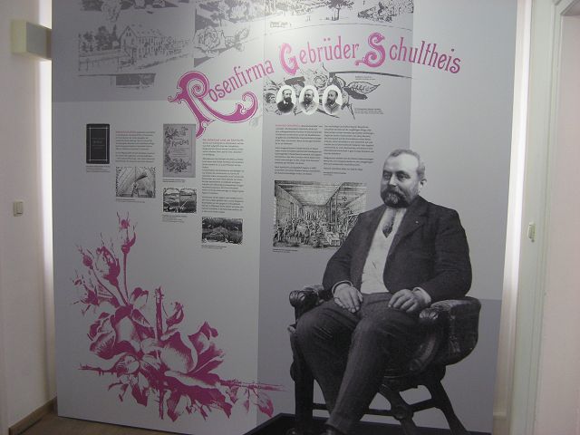 Rosenmuseum Steinfurth