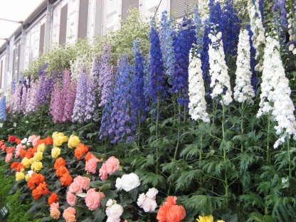 Chelsea Flower Show