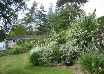 Brook Cottage